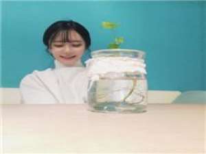 时间带走了年少轻狂 祝平平淡淡的我生日快