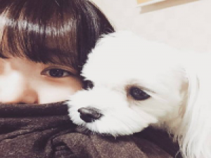 没能成为你喜欢的样子