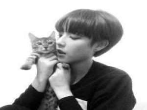 最爱短发 我的东西，从来就不喜