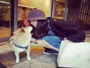 恋爱旳世界不宜过长