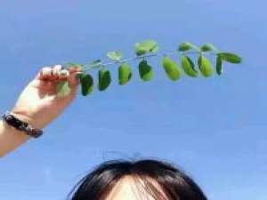 好久不见 值不值得我不懂，可是