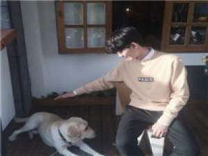 Lin. 累的时候才能平静的看