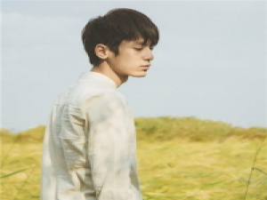 《美女琳》 回忆是一副美画，它创