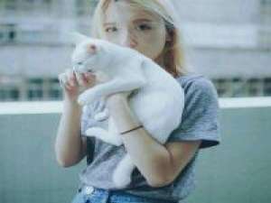 猫与友人 你家洗厕剂和妇炎洁其