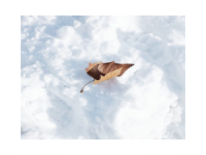 躲在万劫不复的街头你