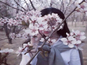 mist 我们的青春如此无奈。