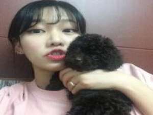 虎豹蛇蝎心╰╮ 只有我自己知道，痛的