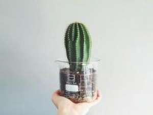 等待，不是为了你能回