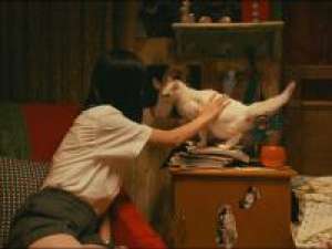 相交甚深的密友，就如