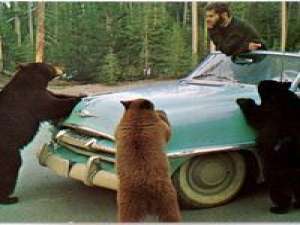 七楼 '' 最后的最后你变成没有