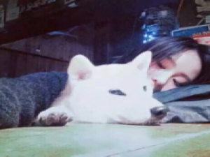 或许 我想有个人把我宠到无