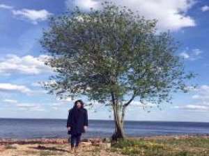 高圆圆女神 不敢再听情歌。当我一