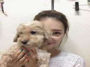 后来她成熟了 至少我很坚强我很坦荡