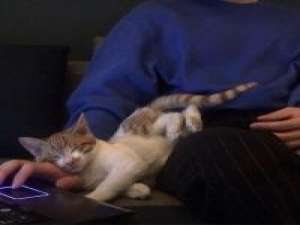 病态 最怕的是,你的幼稚让