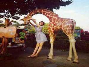 风停了 不要去欺骗别人，因为