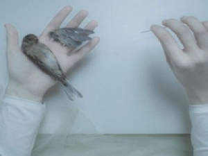 无关爱情 无关风月 有些伤痛，何可言，何