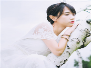 王喜猫 只愿下辈子，你是树，