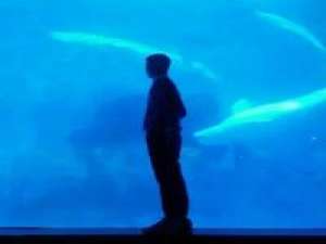 如果他为你泪如雨下请记得带她回家。 我们可以忘记这世间一