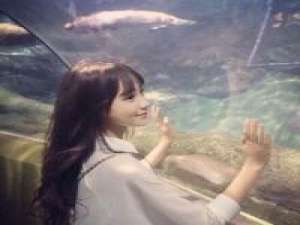 长腿老头 睫毛下的伤城，路过了