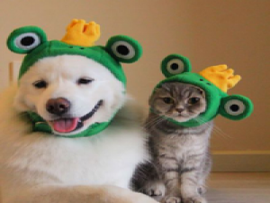 西藏卓玛 你知道我一直暗恋的人