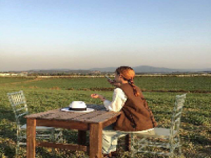 徒倚 人生就像剥洋葱，总有