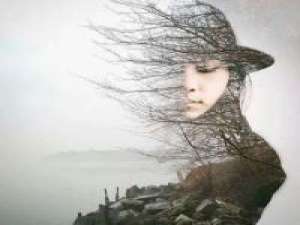 我给你讲一个故事好不