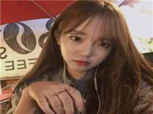 阁楼里的猫 后来我行走过那么多城