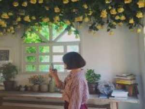 人傻一点，糊涂一点，快乐就不止多一点点！ 你是在等他主动跟你说