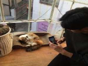 陆清风。 都习惯了在深夜里一个