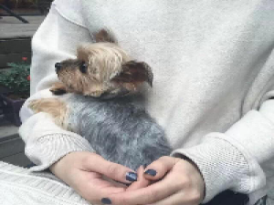 那天我们相识 有多少人爲了自己愛的