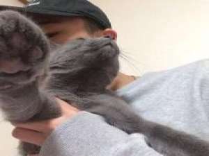 嗑战 心慢慢疼慢慢冷 慢慢