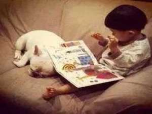 小孩与斗牛犬 水那么烫要我怎么喝