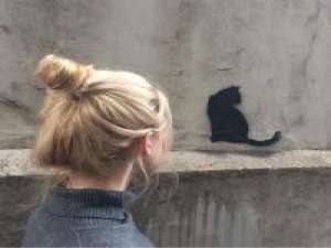 盲目 能不能不要对我忽冷忽