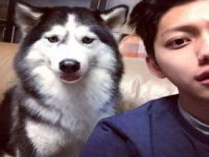 帮忙上精选 Love's