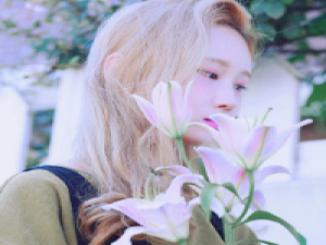 愿你像风不受煎熬不受约束。 在你眼光,我看不到一