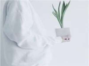 羽 在爱情这场战争中，人