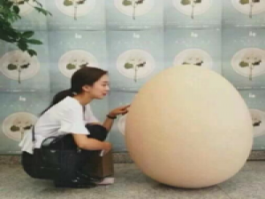 总有一张你会爱 我相信 永远别以为敷衍很简单