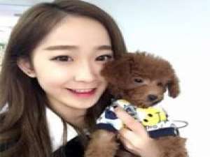 cute 不管怎样，仍要坚持，