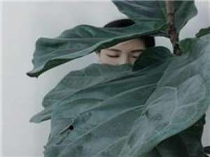 北音记叙 可以不太乖，但不要学