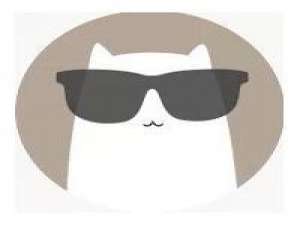 不 言 电影始终是电影不要把