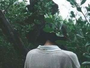 良橙 ：这样的绿 惟沉默是最高的轻蔑。