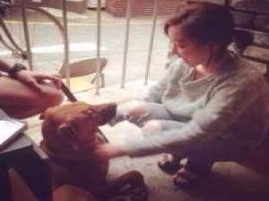 我们经历那样多的暴烈