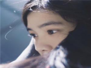 骄阳似我 生命太短，没有时间留