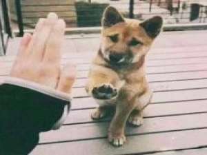 Give me five 考历史的时候，我莫名