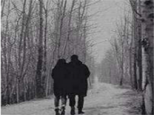 乍见之欢不如久处不厌， 您真是贱人多忘事啊。