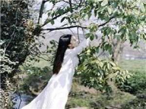 风大记得回家 总是在欢声笑语的时候