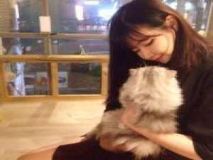 晚安。 先生之风，山高水长。