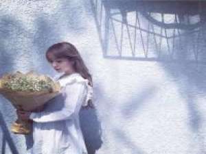 Sugar 黄昏是生命逝去前最温