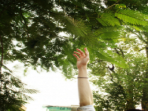 咆哮 从不失重新开始的勇气