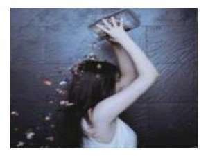 好久不发了 时至今日，我变得什么